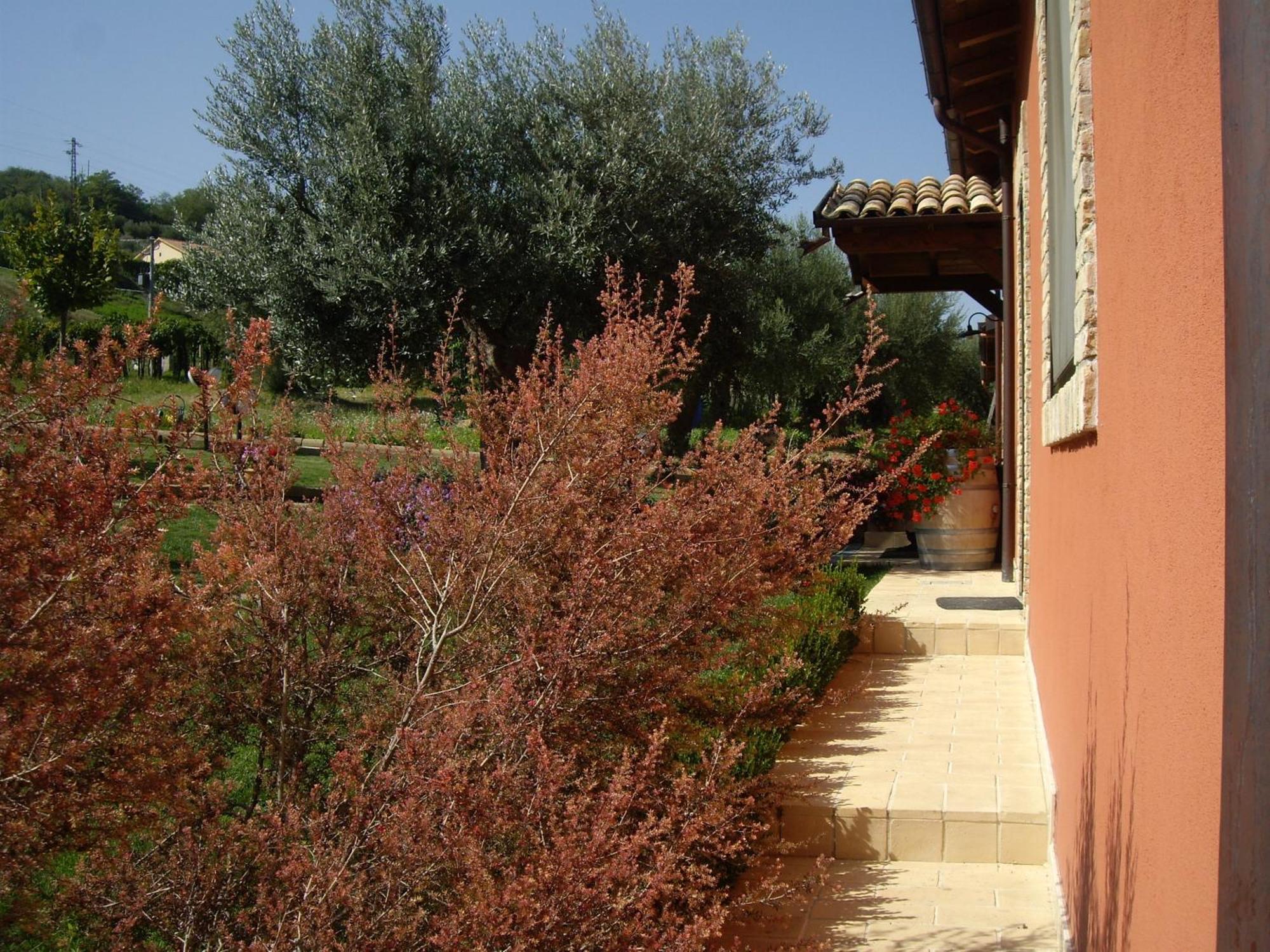 Agriturismo Il Borgo Degli Ulivi Roseto Degli Abruzzi Exteriér fotografie